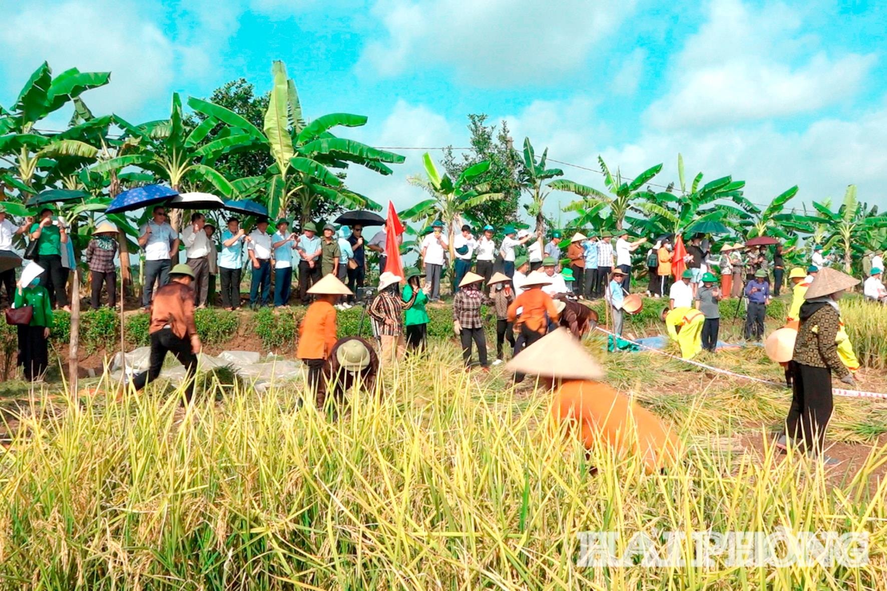 the-flood-festival(1.jpg)