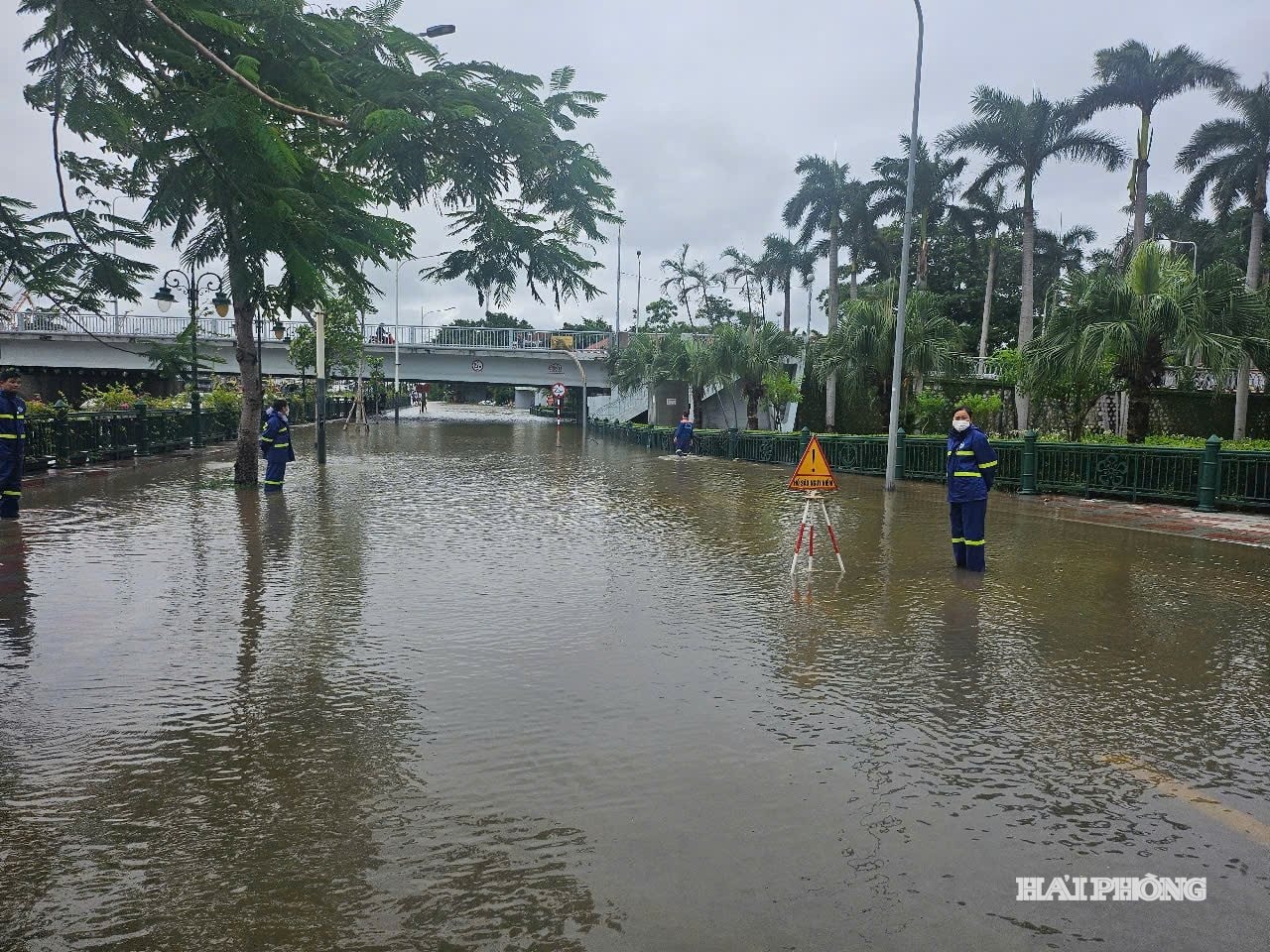 nam-cau-binh.jpg
