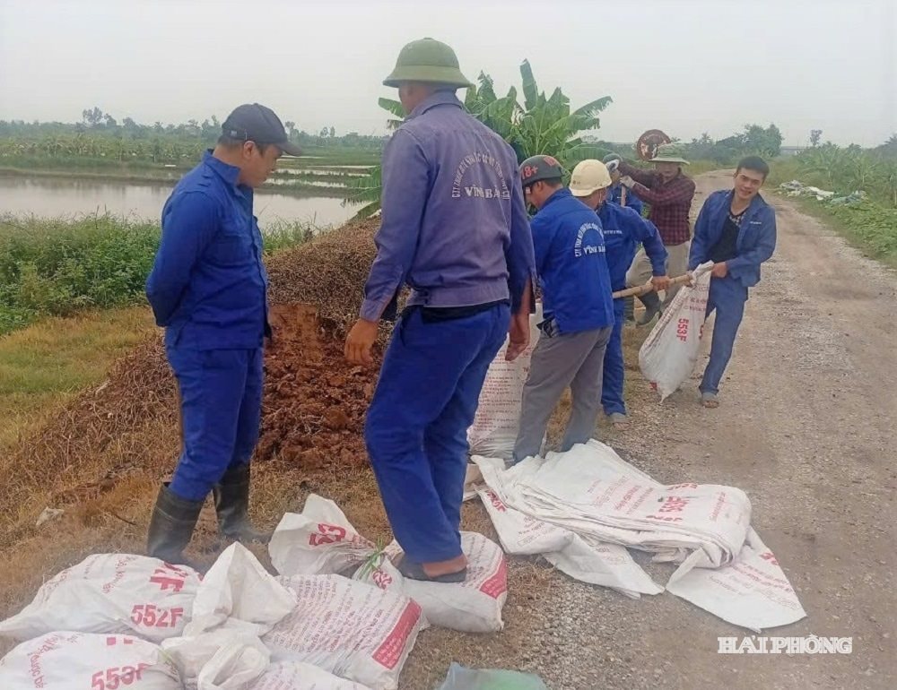 ប្រឆាំងចោរកម្ម ២