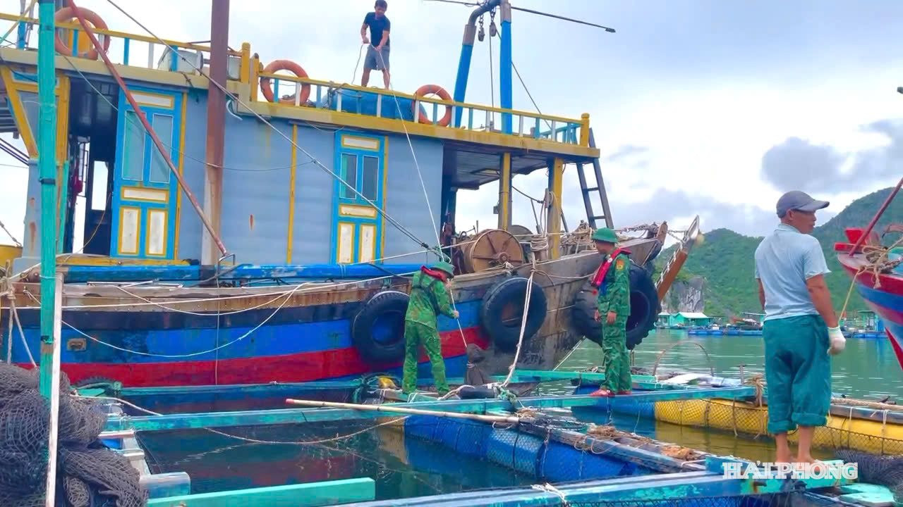 Cán bộ, chiến sĩ Đồn Biên phòng Cát Bà giúp người dân gia cố các ô lồng nuôi trồng thủy sản