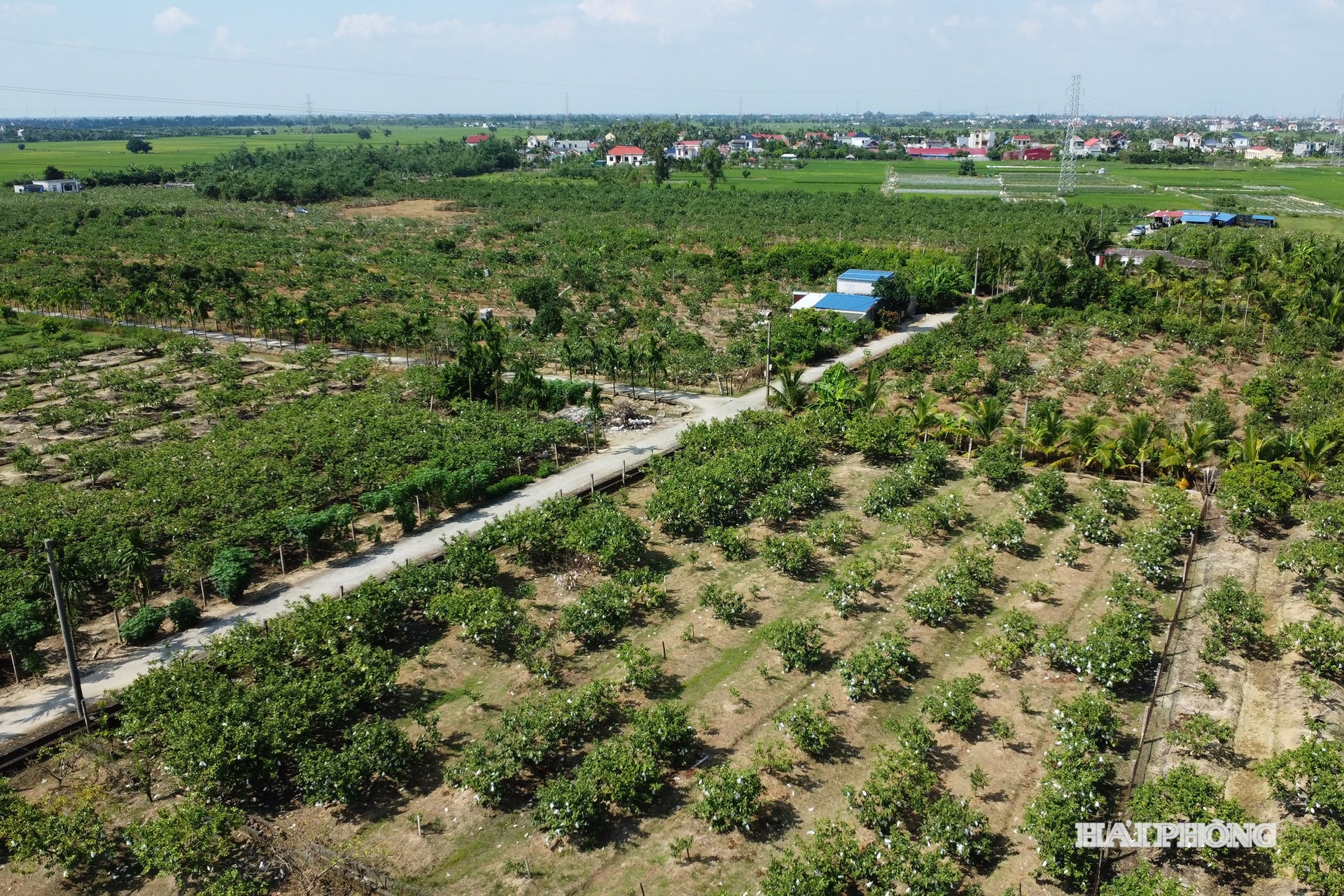 ហេ វិញ បាវ ១