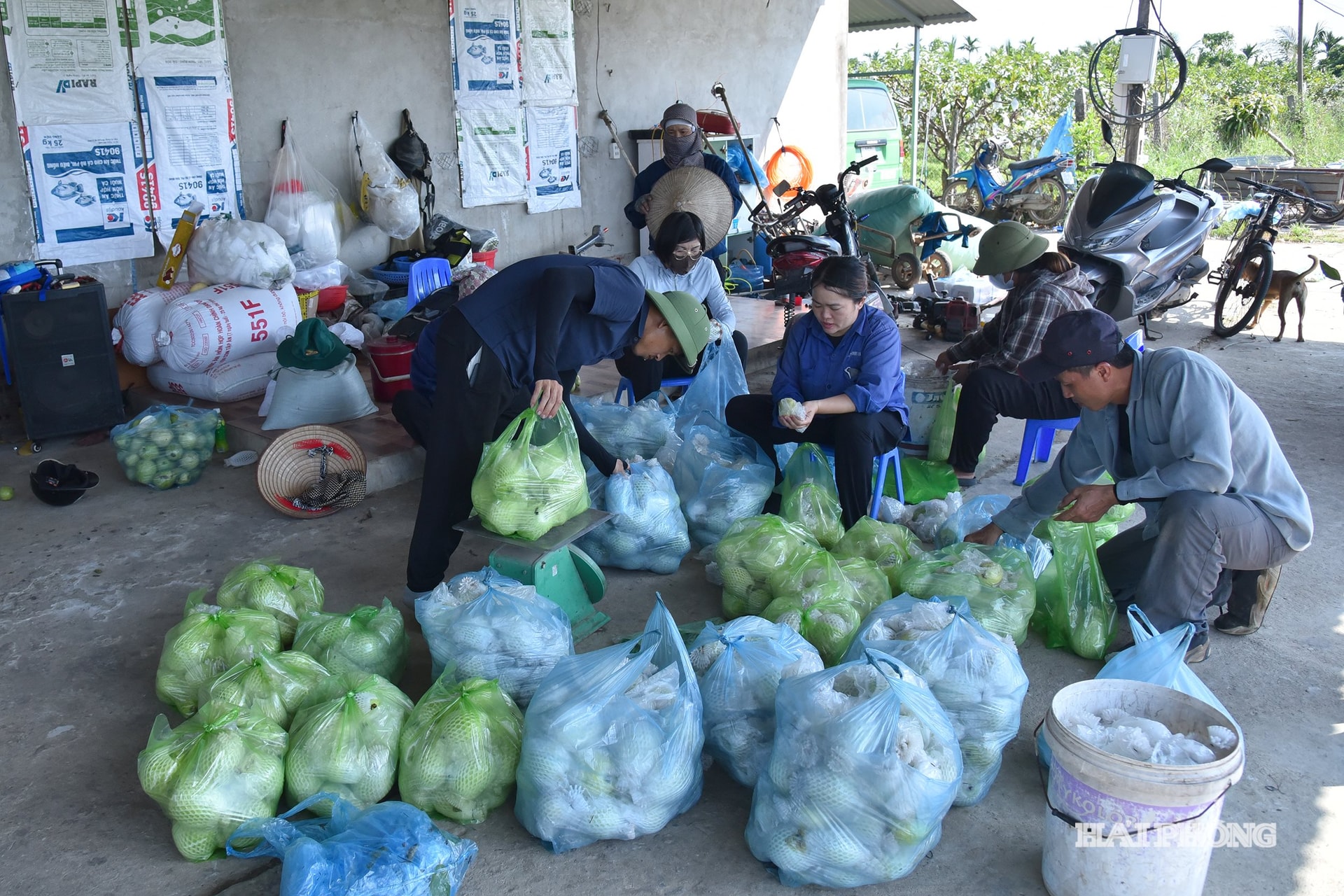 ហេ វិញ បាវ ៣