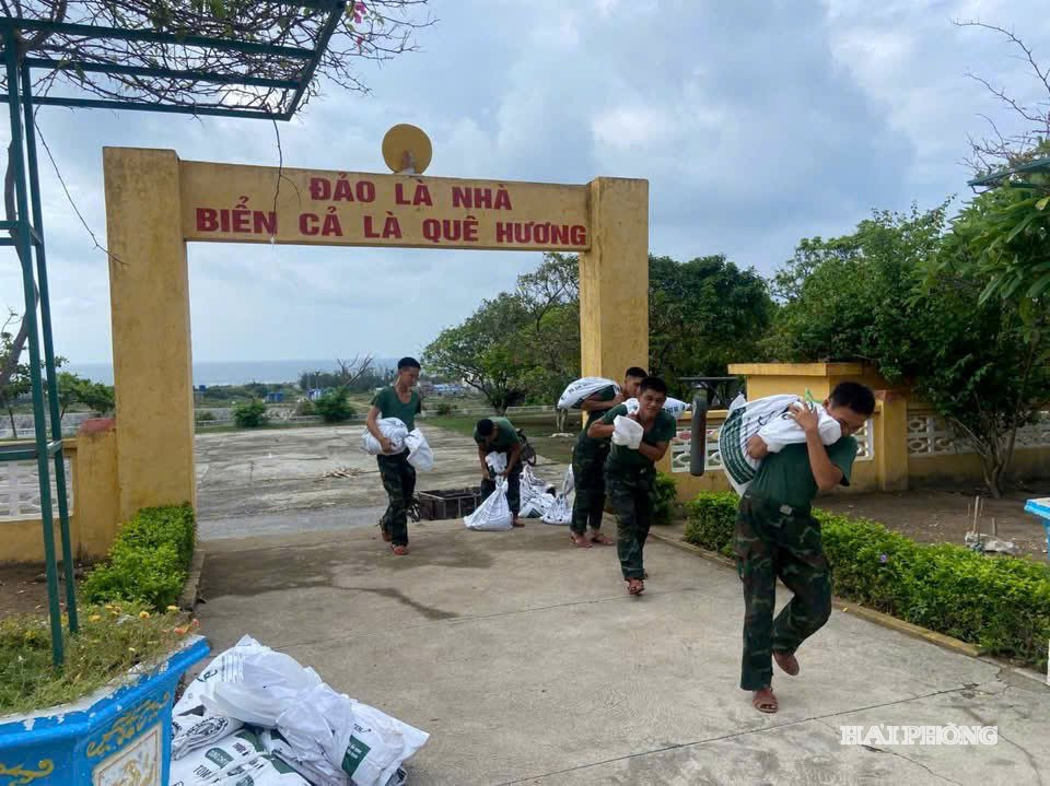LLVT thành phố chủ động gia cố nhà cửa chuẩn bị phòng chống bão