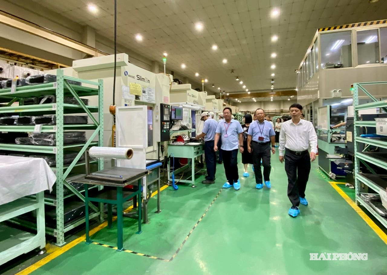 giam-sat-2.jpg