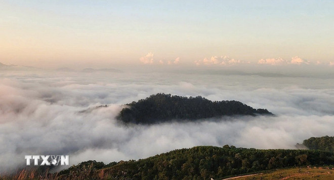 Biển mây ở cao nguyên Đồng Cao. (Ảnh: Danh Lam/TTXVN) ttxvn-cao-nguyen-dong-cao-1.jpg