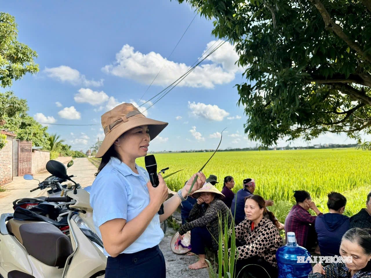 tram-gia - phuc 3