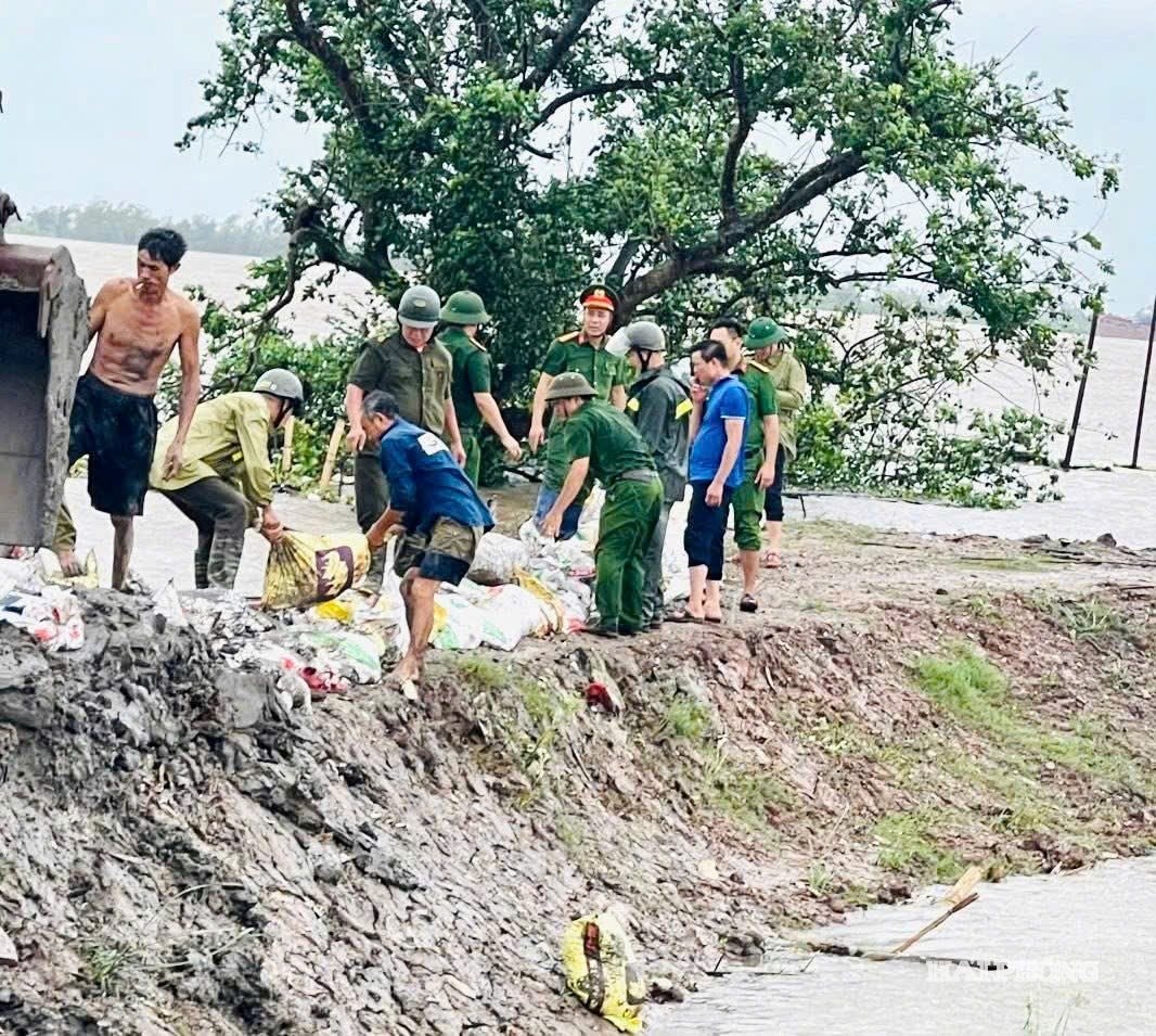 Kien Hung commune coordinates with functional forces to handle the weak dike point at Kim Son embankment.