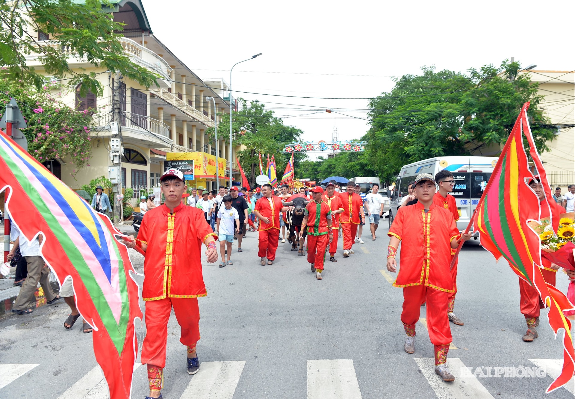 Đoàn rước ông trâu vô địch về đình làng làm lễ hiến sinh