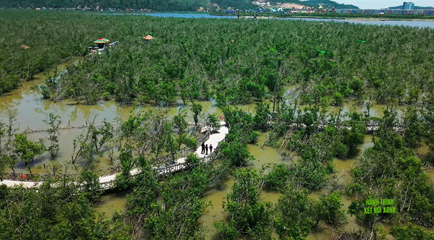 image002.gif
