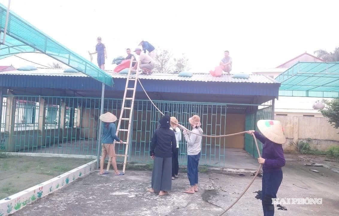 តេស្ត ៤