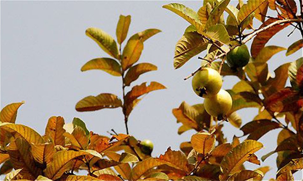 image-2.jpg