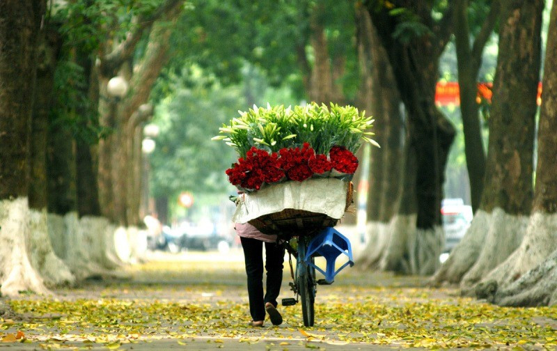 mua-thu-ha-noi.jpg