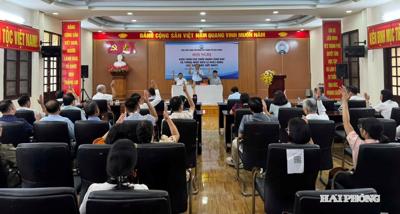 lien-minh2.jpg