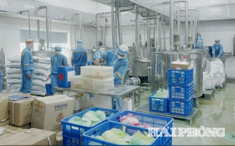 ក្រុមហ៊ុនឡុងហៃ លីមីតធីត តែងតែជាសហគ្រាសដែលមានការរួមវិភាគទានថវិកាក្នុងស្រុកខ្ពស់នៅក្នុងតំបន់ Hai Phong ភាគខាងលិច។