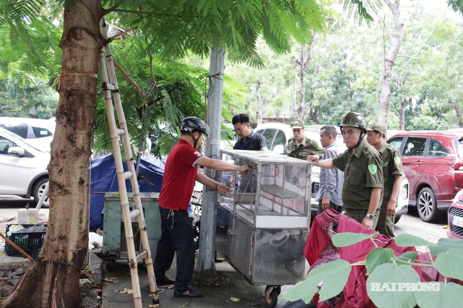 trat-tu.jpg