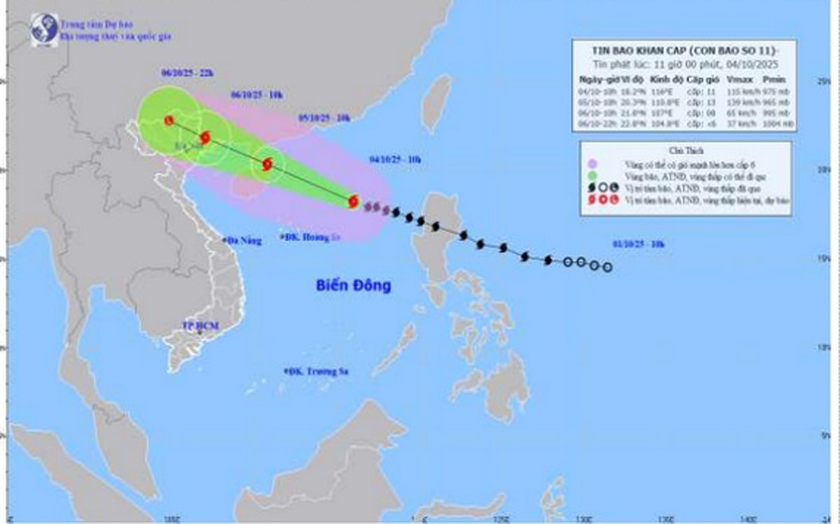 bao-2.jpg