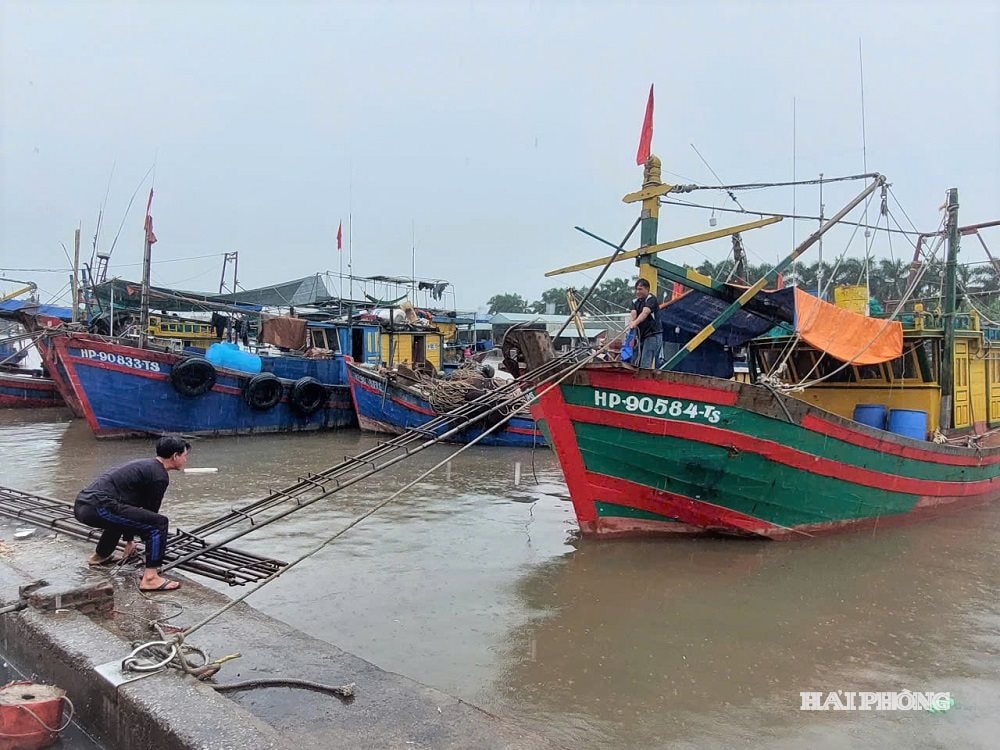 យុថ្កា 1