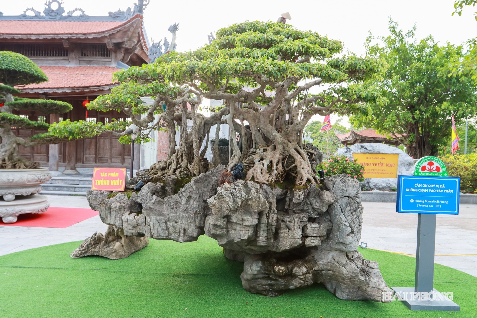 Các tác phẩm sinh vật cảnh đặc sắc thuộc nhiều thể loại: bonsai, cây thế, đá cảnh, tiểu cảnh, hoa lan… do hơn 100 nghệ nhân và nhà vườn trên địa bàn các xã tại khu vực Kiến Thụy tham gia.