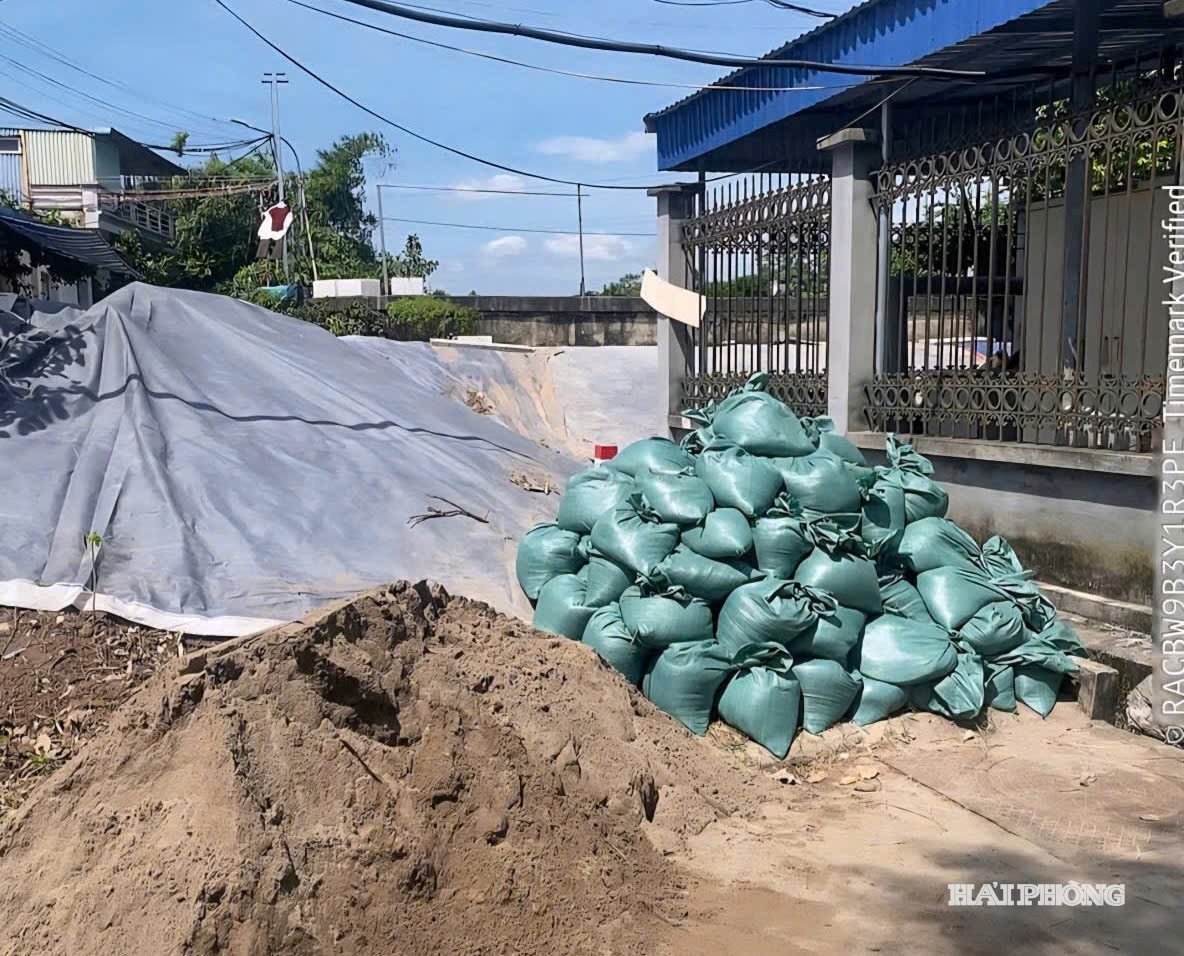 drainage1.jpg