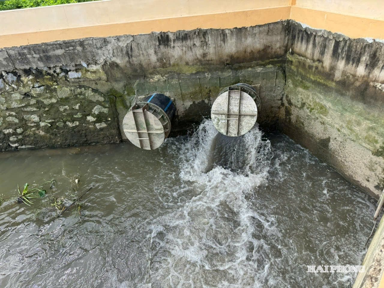 drainage4.jpg