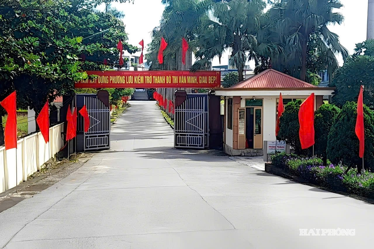 phuong-luu-kiem.jpg