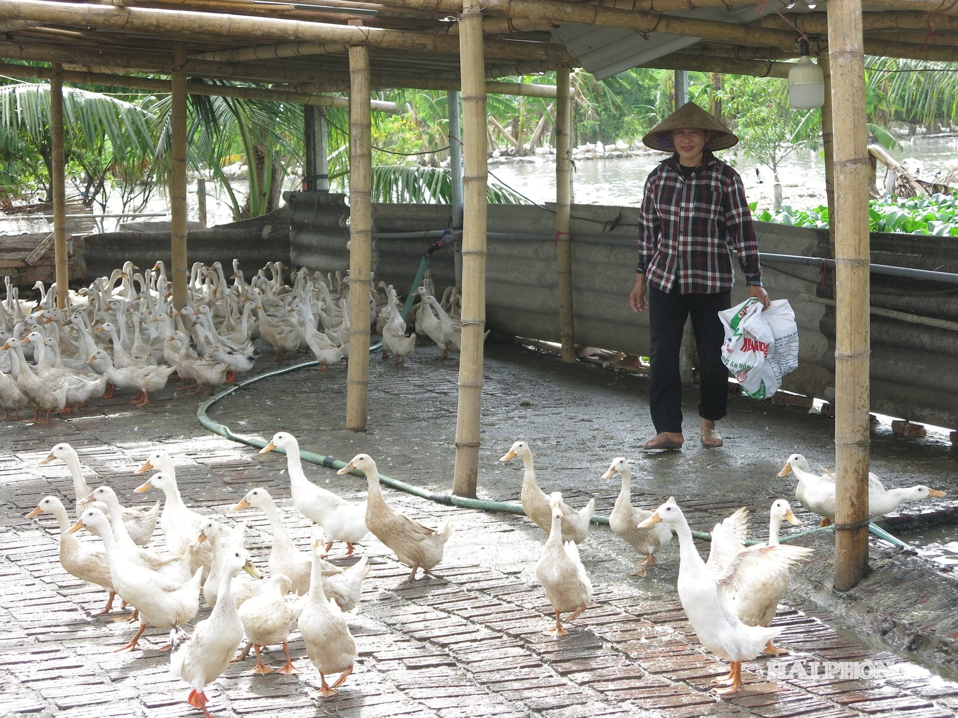 binh-giang.jpg
