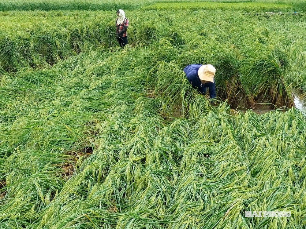 khoi-phuc 2
