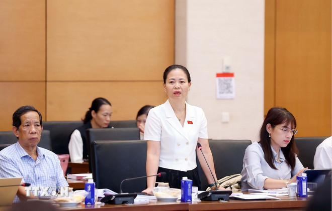 Đại biểu Quốc hội tỉnh Hưng Yên Nguyễn Thị Thu Dung phát biểu. (Ảnh: Phạm Kiên/TTXVN) ttxvn-dai-bieu.jpg