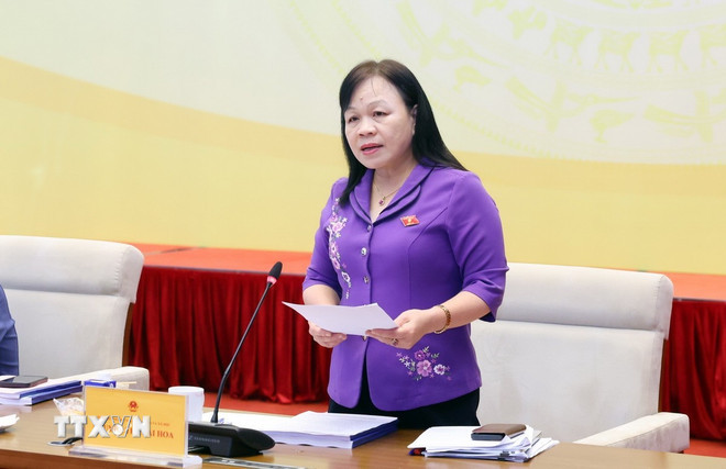 Phó Chủ nhiệm Ủy ban Văn hóa và Xã hội của Quốc hội Nguyễn Thị Mai Hoa phát biểu. (Ảnh: Phạm Kiên/TTXVN) ttxvn-nguyen-thi-mai-hoa.jpg