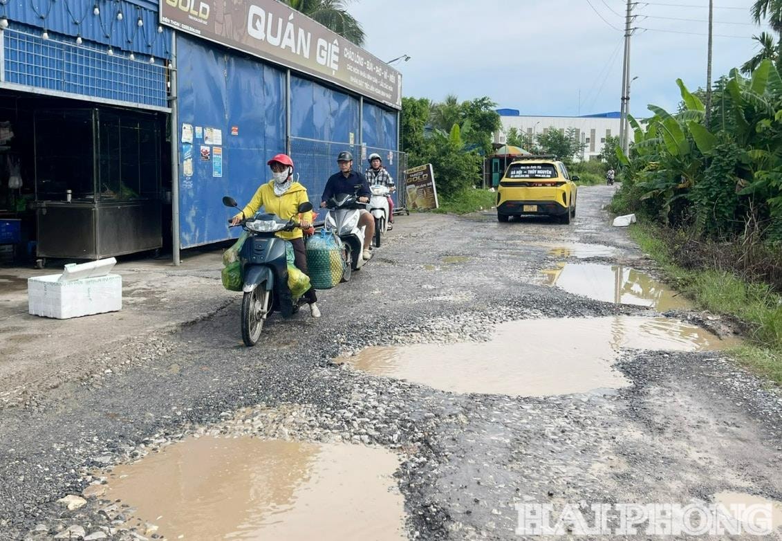 vsip-hai-phong-2-(1).jpg