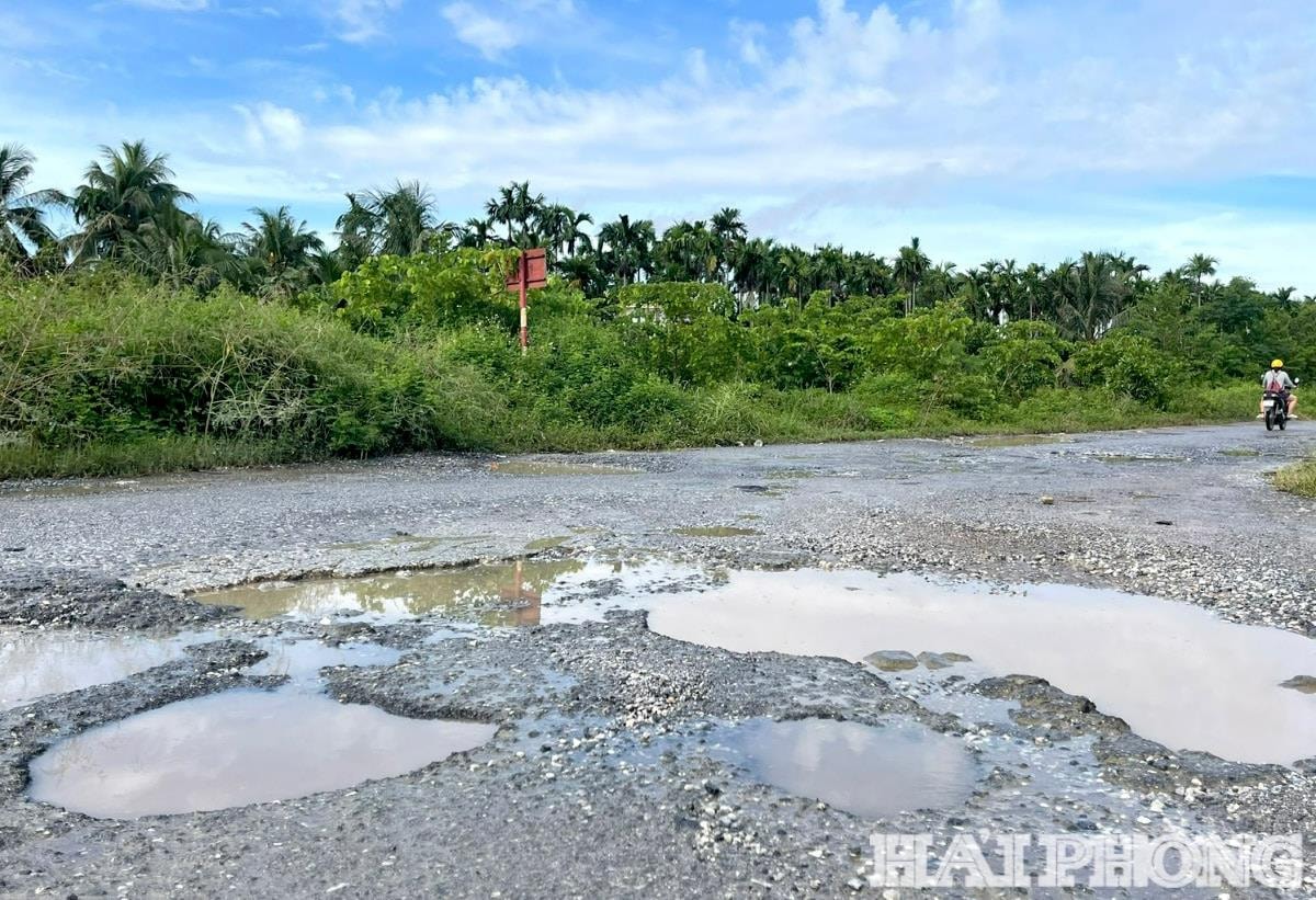 vsip-hai-phong-5-(1).jpg