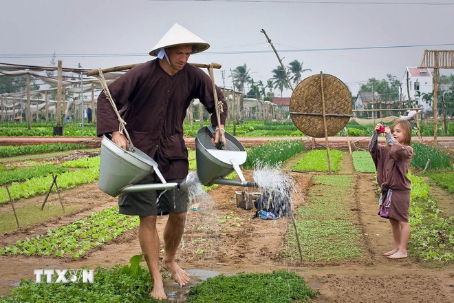 Du khách trải nghiệm tưới rau tại làng rau Trà Quế, Hội An, tỉnh Quảng Nam. (Ảnh: TTXVN phát) ttxvn-1511-lang-rau-tra-que-2-3917.jpg