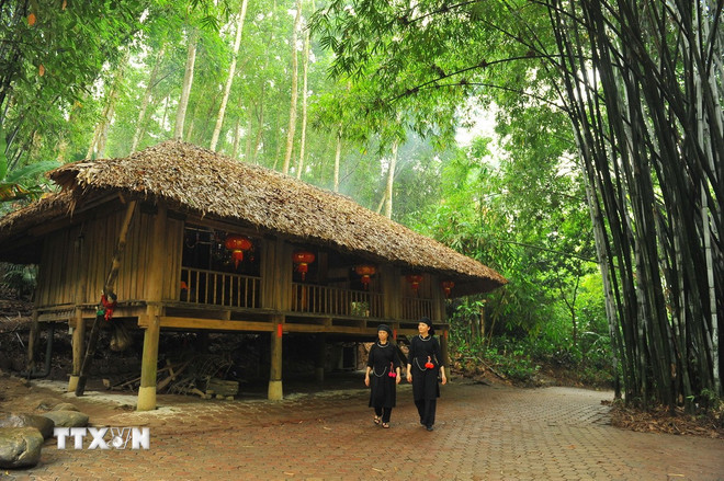 Tại làng Thái Hải, các ngôi nhà sàn dân tộc Tày, Nùng được dựng giữa không gian xanh mướt núi rừng thu hút những du khách thích cuộc sống yên bình. (Ảnh: Minh Đức/TTXVN) ttxvn-2010-lang-thai-hai.jpg