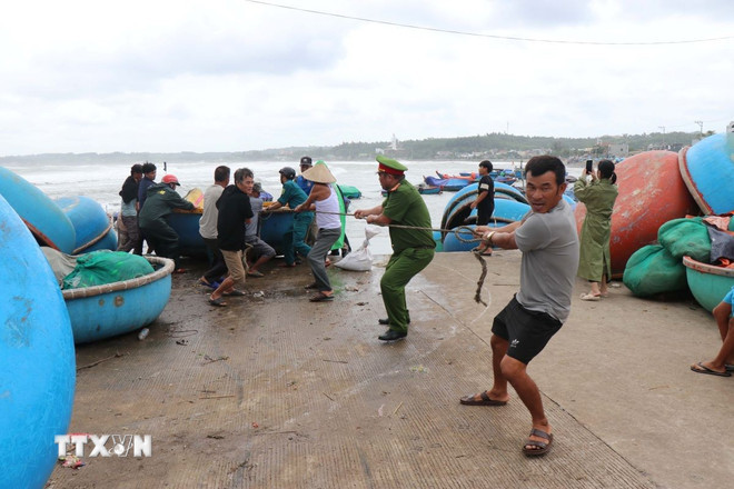 Lực lượng chức năng xã Vạn Tường cùng người dân địa phương di dời các phương tiện lên bờ kè ứng phó với bão số 12. (Ảnh: Phạm Cường/TTXVN) ttxvn-quang-ngai-ung-pho-bao-so-12-2210-2.jpg