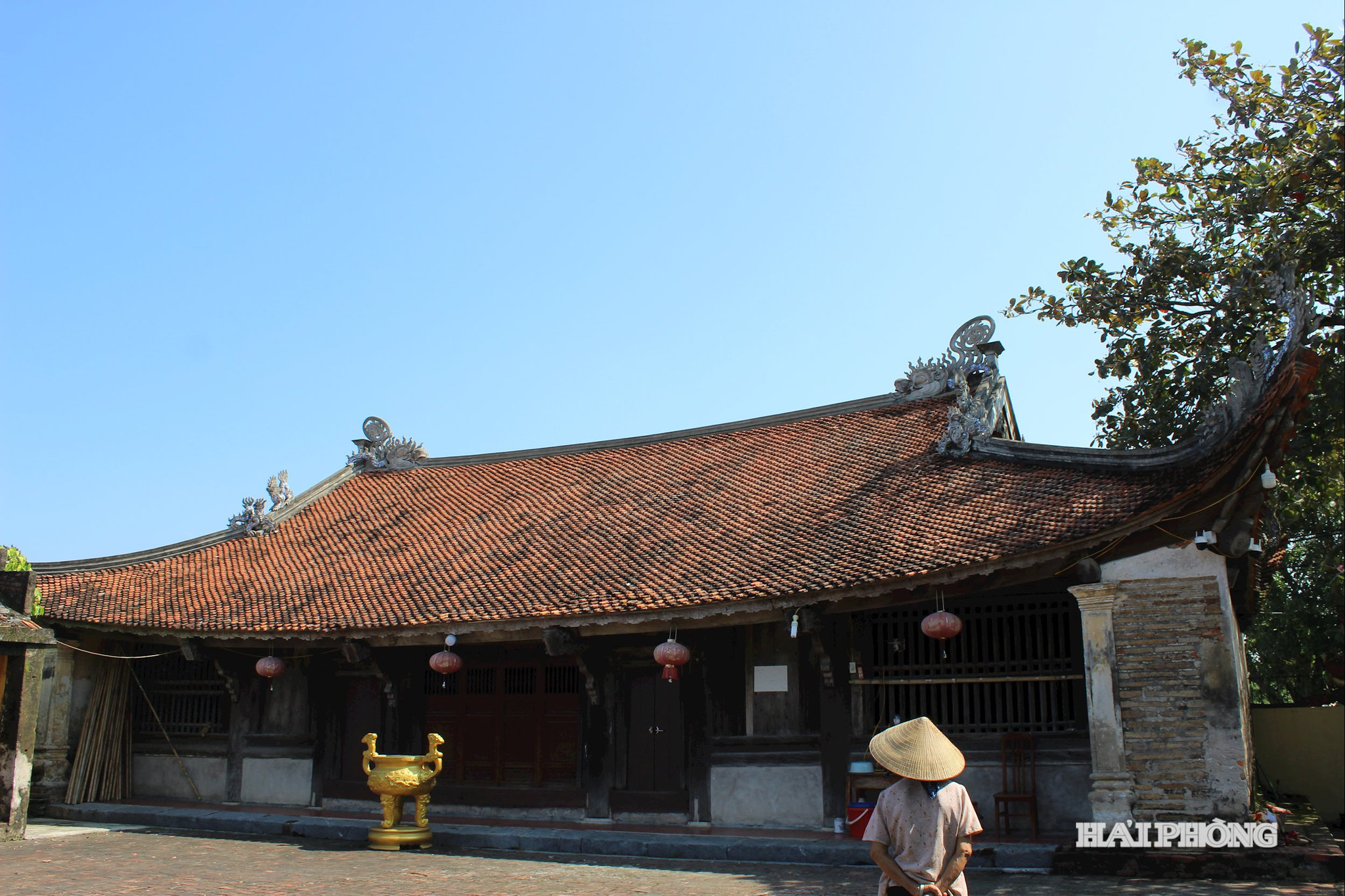 dinh-bui-ha2.jpg