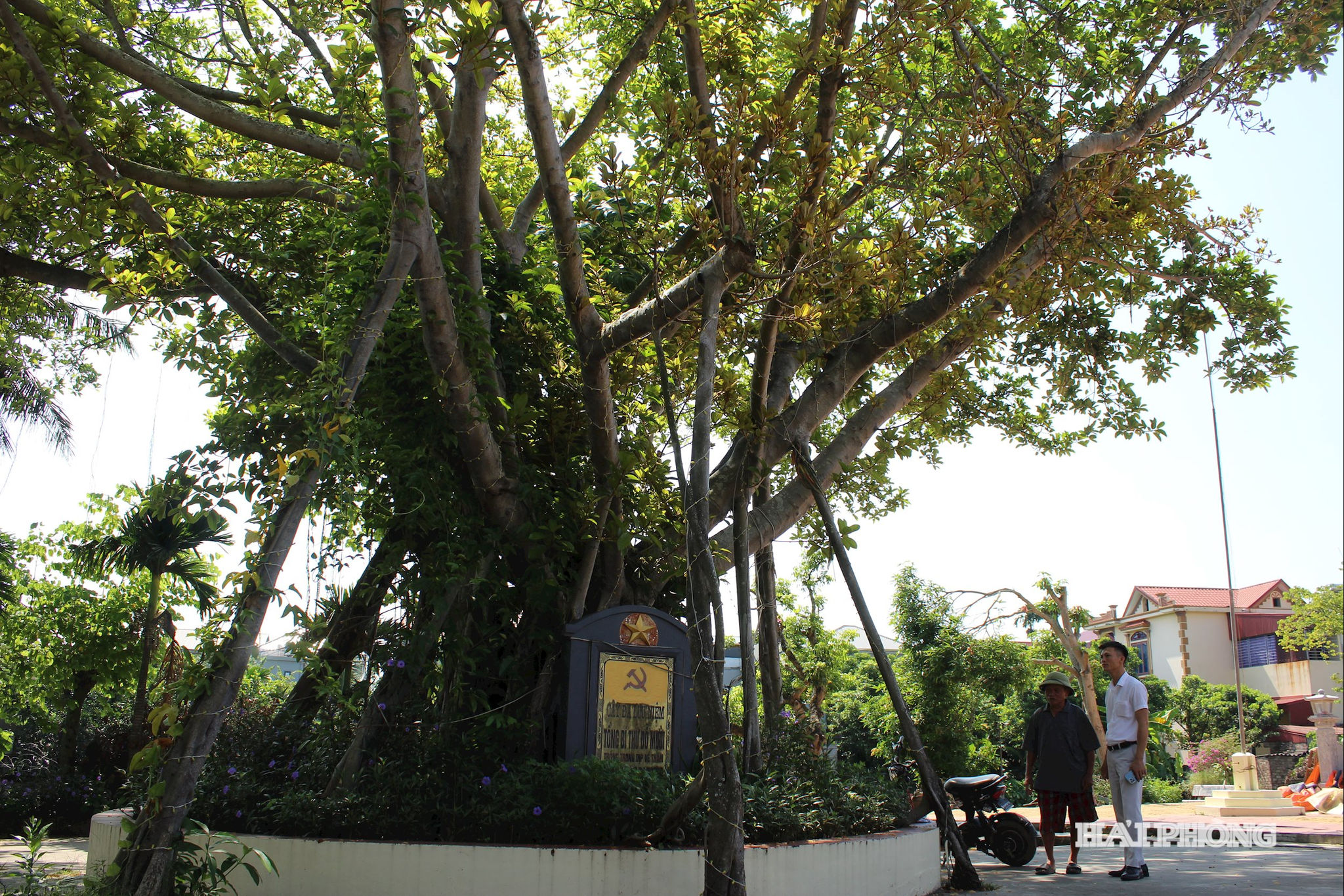 dinh-vo.jpg