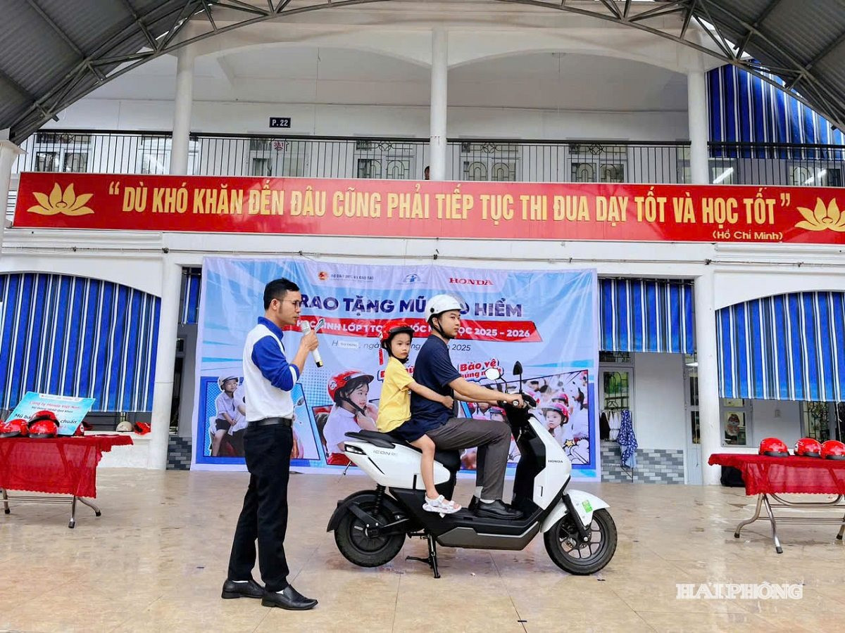 tieu-hoc-cat-bi.jpg