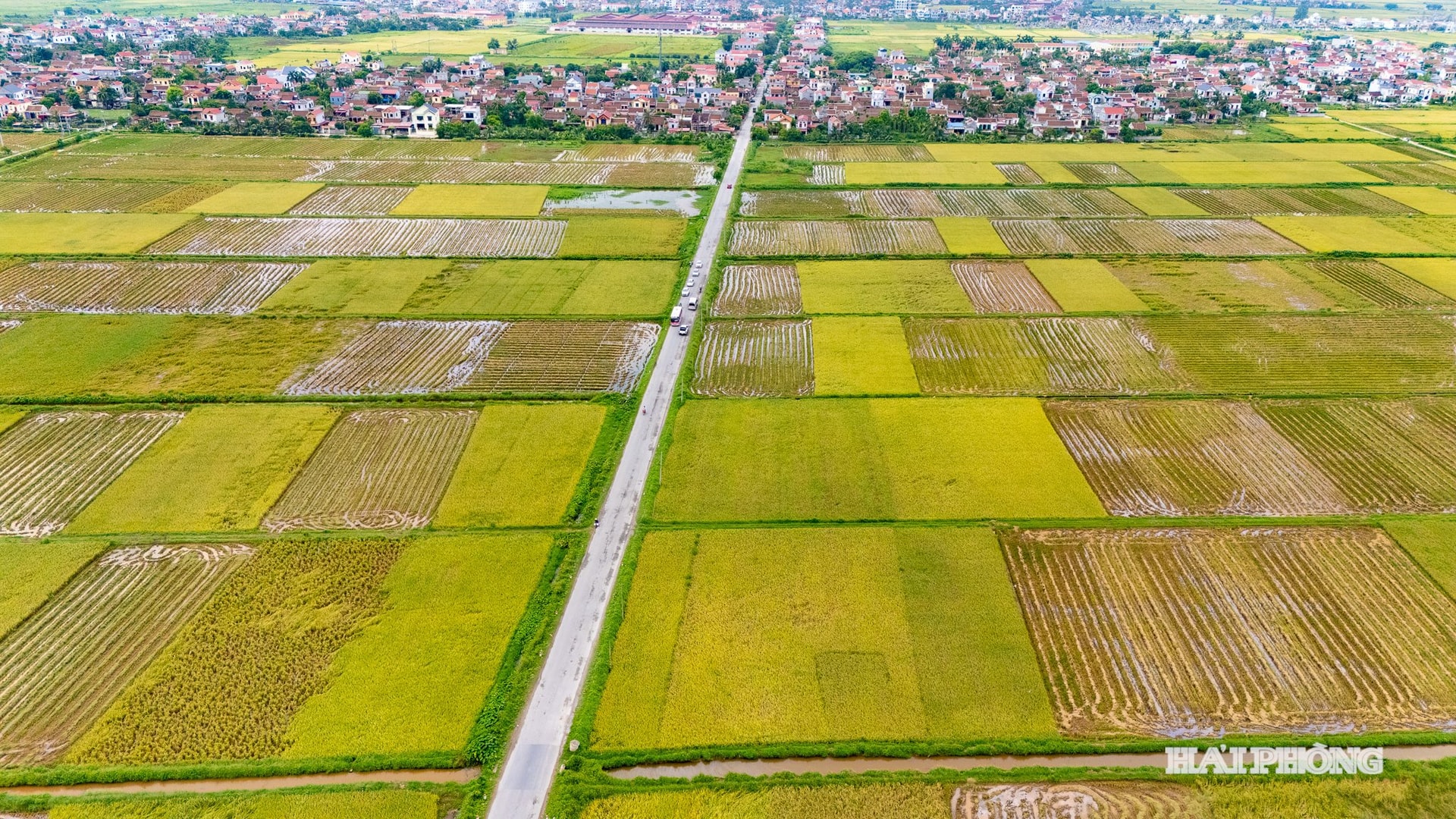 DJI_20240608132850_0171_D - Copy