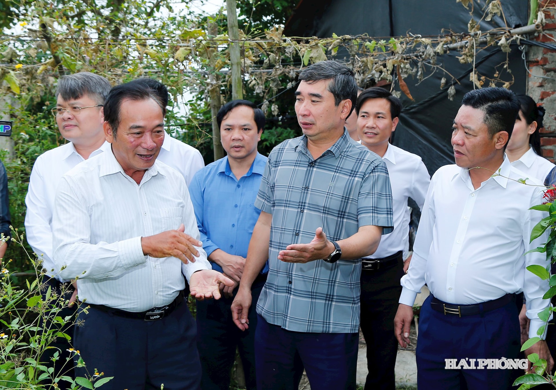 Tovarășul Bui Van Thang, membru al Comitetului Permanent al Comitetului de Partid al orașului, director al Departamentului pentru Agricultură și Mediu, a vizitat modelul comercial gigantic de creștere a creveților de apă dulce din districtul Kien An.