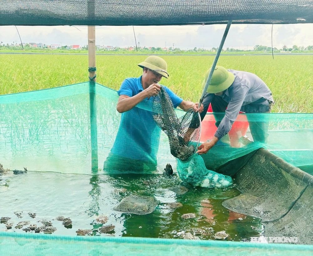 ម៉ូដែល 1