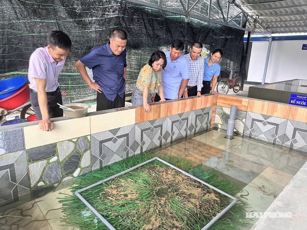 ម៉ូដែល 2