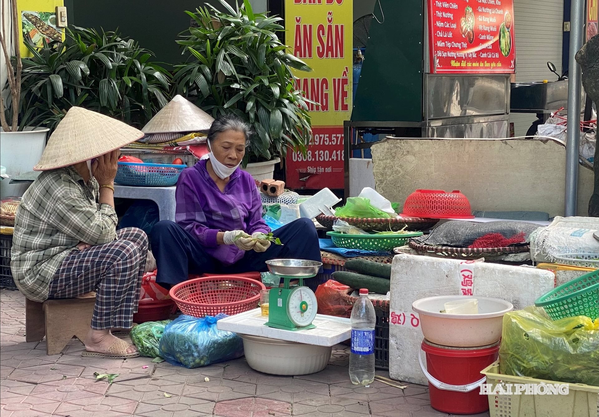הזקן חסר השכל.jpg