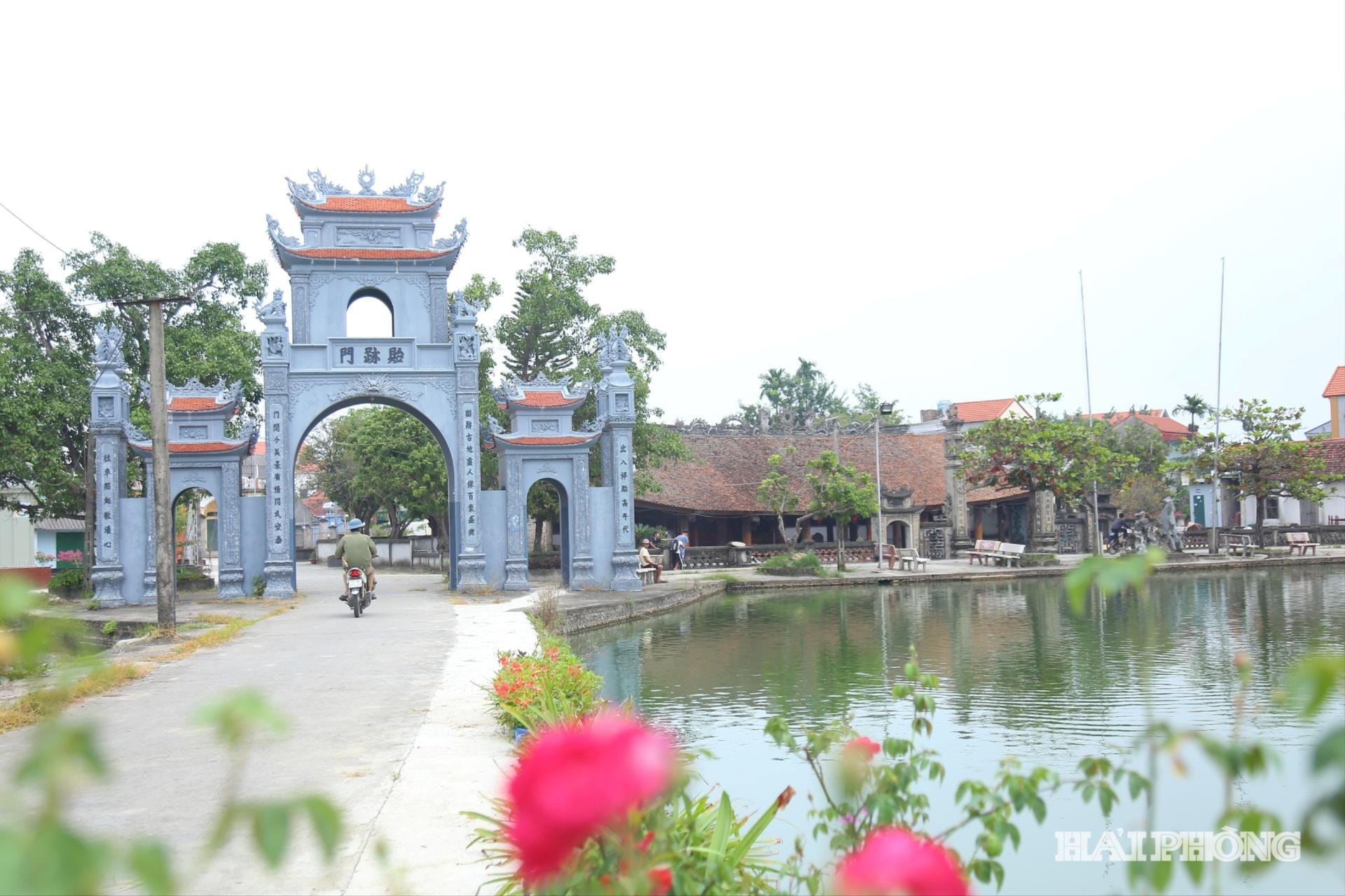 dinh-thach-loi(1).jpg