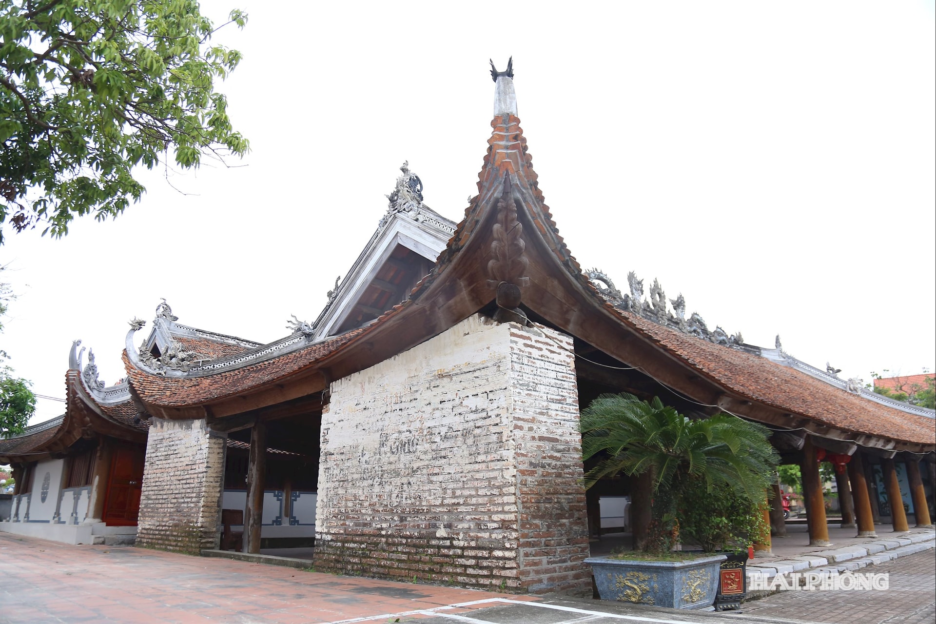 dinh-thach-loi2.jpg