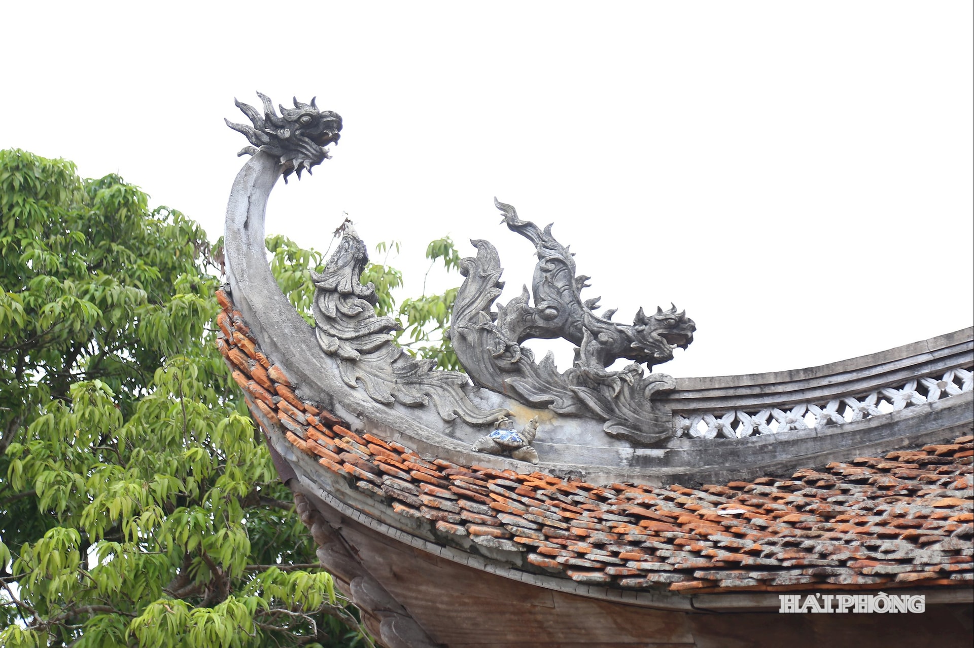 dinh-thach-loi8.jpg