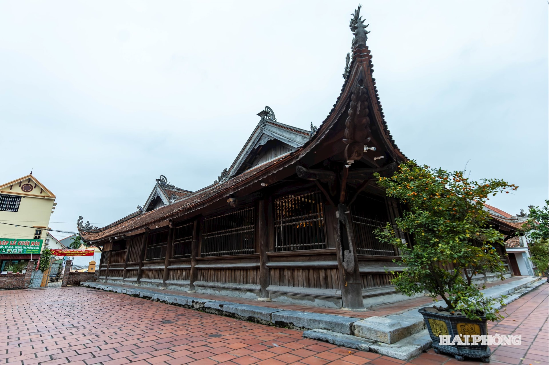 dinh-hue-tri-4.jpg