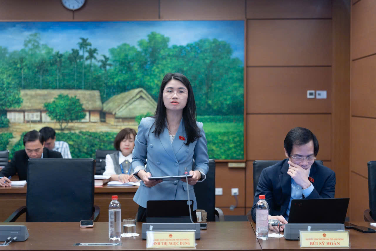 dinh-thi-ngoc-dung-28a83a90db41ffc326a48ce53b430030.jpg