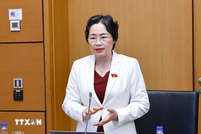 Đại biểu Quốc hội tỉnh Điện Biên Lò Thị Luyến phát biểu. (Ảnh: Doãn Tấn/TTXVN) ttxvn-lo-thi-luyen.jpg