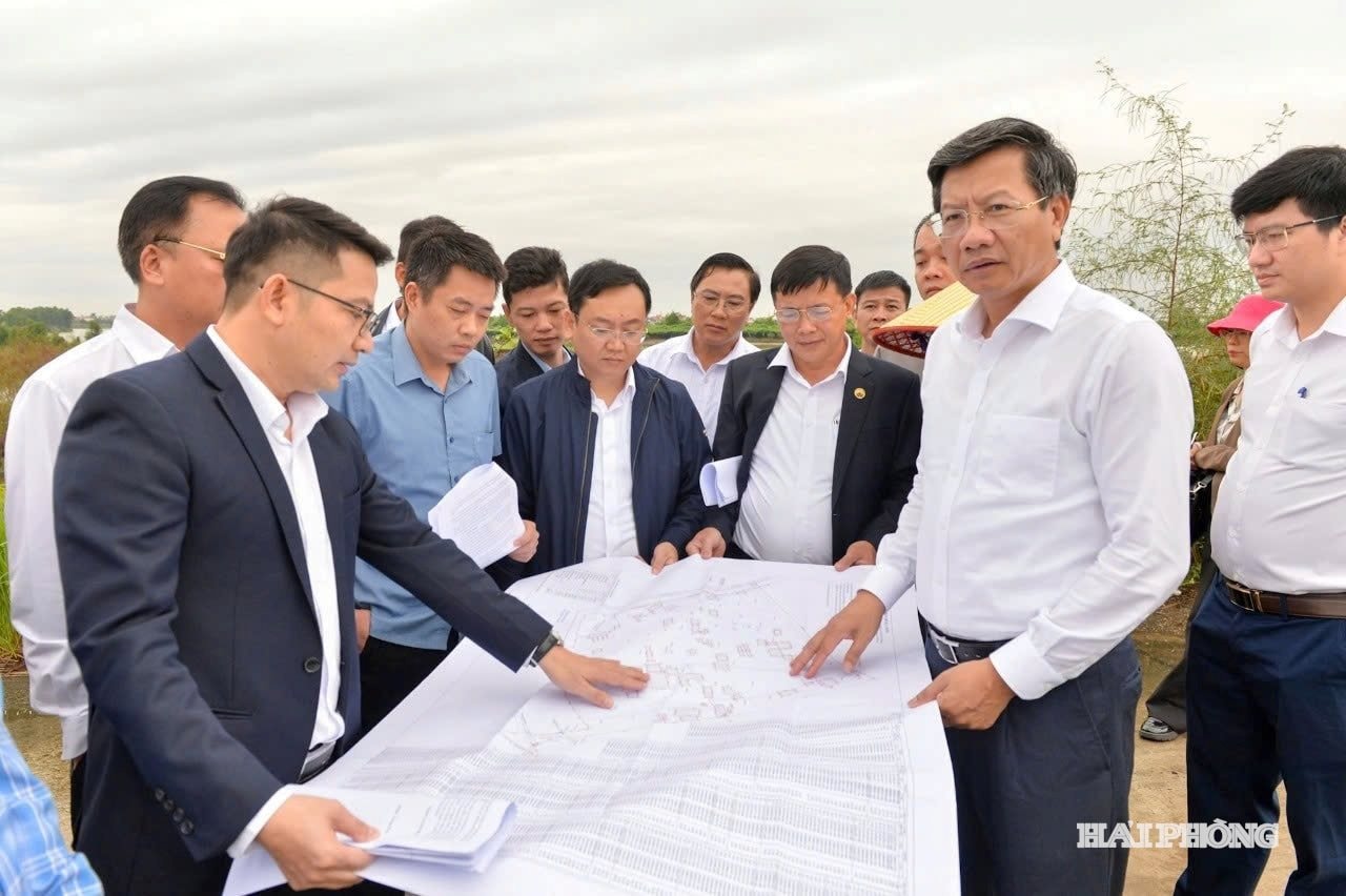 Đồng chí Lê Anh Quân, Phó chủ tịch Thường trực UBND thành phố kiểm tra thực địa tại Dự án cụm công nghiệp An Phụ. Ảnh: VIỆT CƯỜNG
