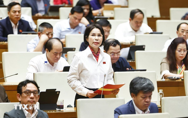 Đại biểu Quốc hội thành phố Hà Nội Trần Thị Nhị Hà phát biểu. (Ảnh: Doãn Tấn/TTXVN) ttxvn-quoc-hoi-thao-luan-o-hoi-truong-ve-luat-dan-so-luat-phong-benh-1011-2.jpg